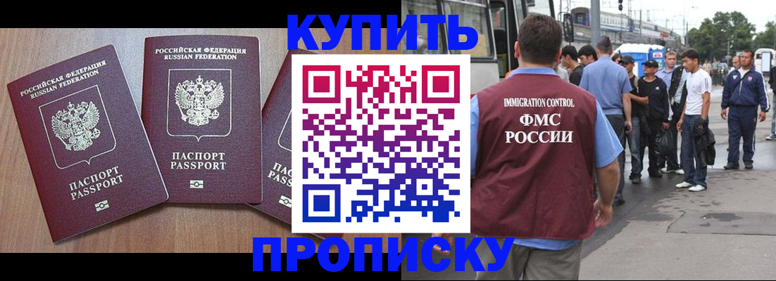 прописка 2025 в Светлогорске